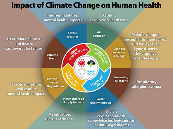 Centers for Disease Control graphic on climate change impacts on human health