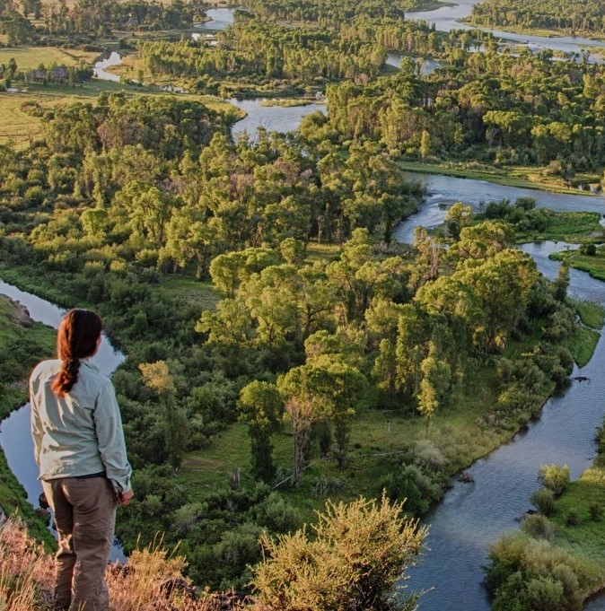 South Fork of Snake River, Idaho. Source: Bob Wick, Bureau of Land Management (cover photo)